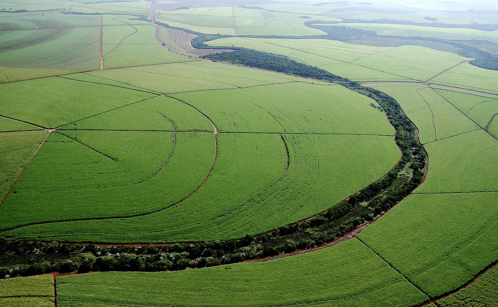 Manejo fitossanitário da cana com inteligência artificial é destaque da UPL no Congresso Nacional de Bioenergia