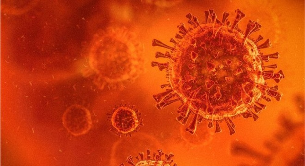 Rondônia registra 30 mortes por Covid-19 em 24h, 5.311 óbitos totais, 1.327 novos casos, 217.153 casos totais e 204.929 curados