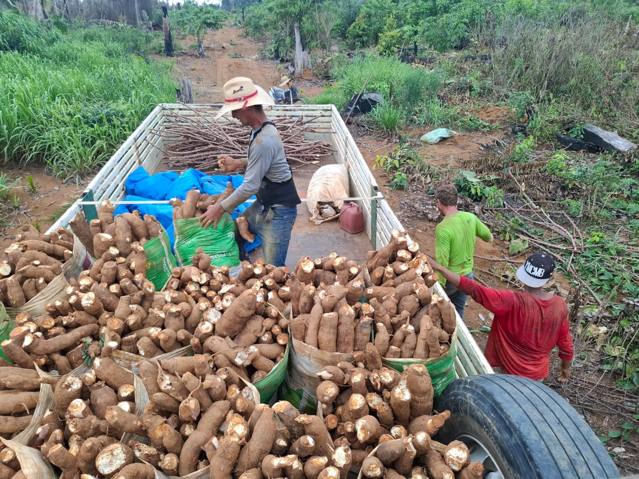 Prefeitura de Porto Velho impulsiona escoamento da agricultura familiar