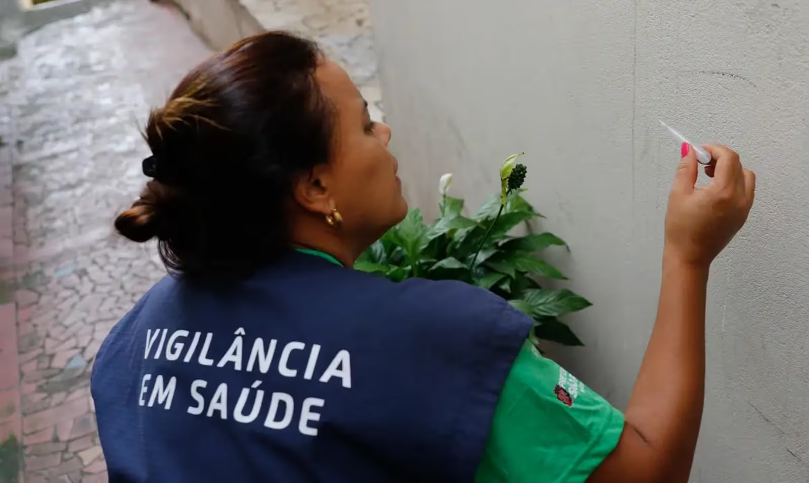 Casos de dengue no Brasil caem mais que a metade no início de 2025 em comparação a 2024