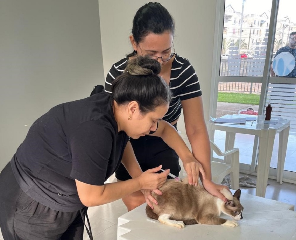 Mais de 600 animais são vacinados contra a raiva em ação itinerante da Prefeitura de Porto Velho