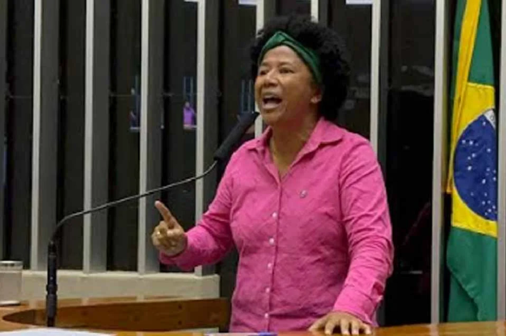 SILVIA CRSTINA CAMARA DOS DEPUTADOS