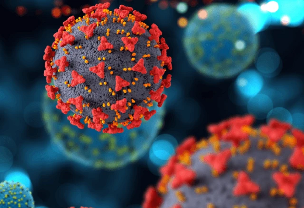 Covid-19 mata 29 pessoas em janeiro no Brasil