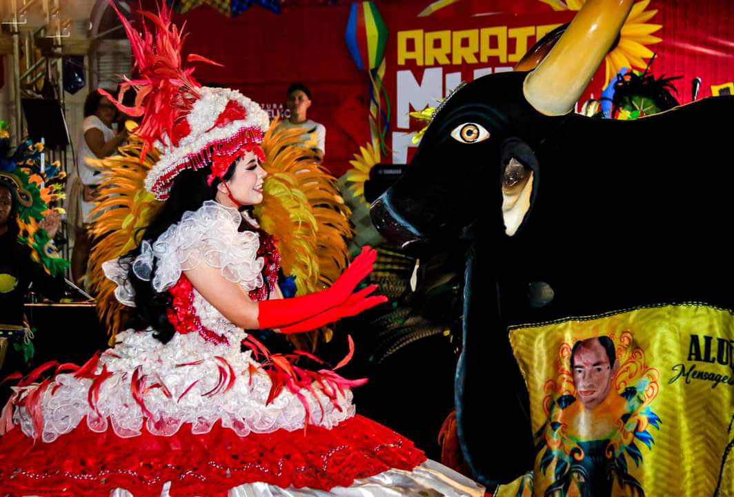 Boi-Diamante-Negro-Foto-Roni-Carvalho-1