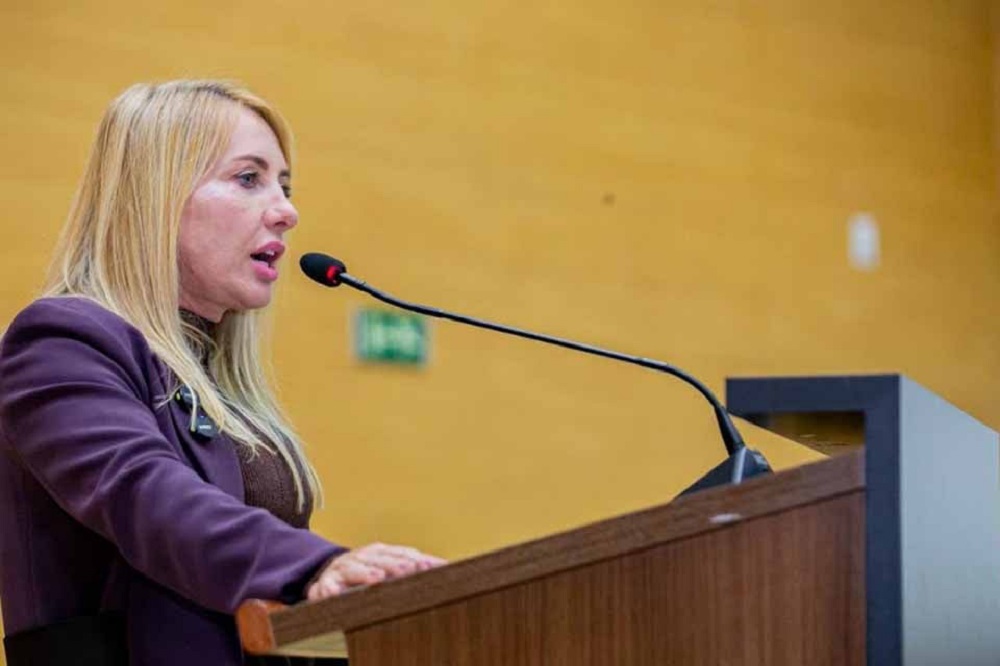Deputada Ieda Chaves pede concurso para reforçar DEAMs e garantir atendimento 24h às mulheres